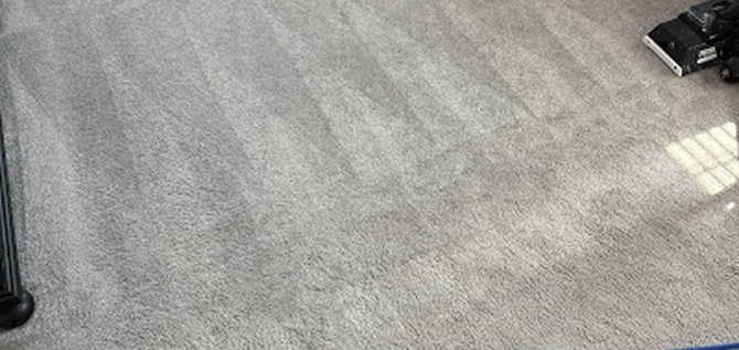 Squeaky Clean carpet & floor cleaning result 5