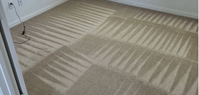 Squeaky Clean carpet & floor cleaning result 6