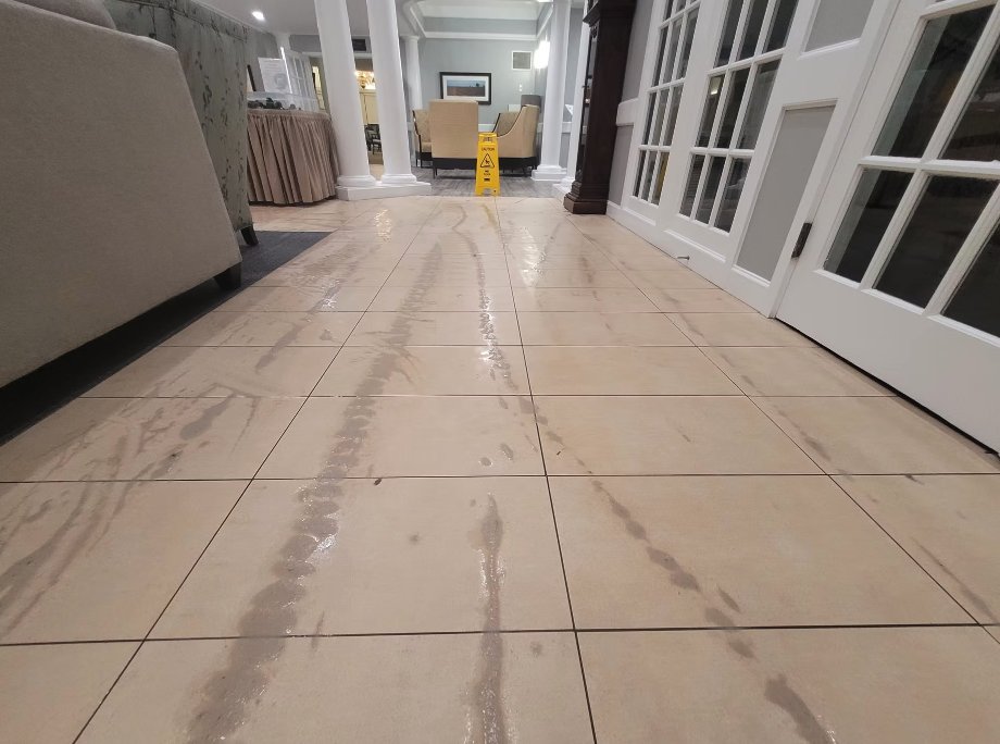 Squeaky Clean carpet & floor cleaning result 9